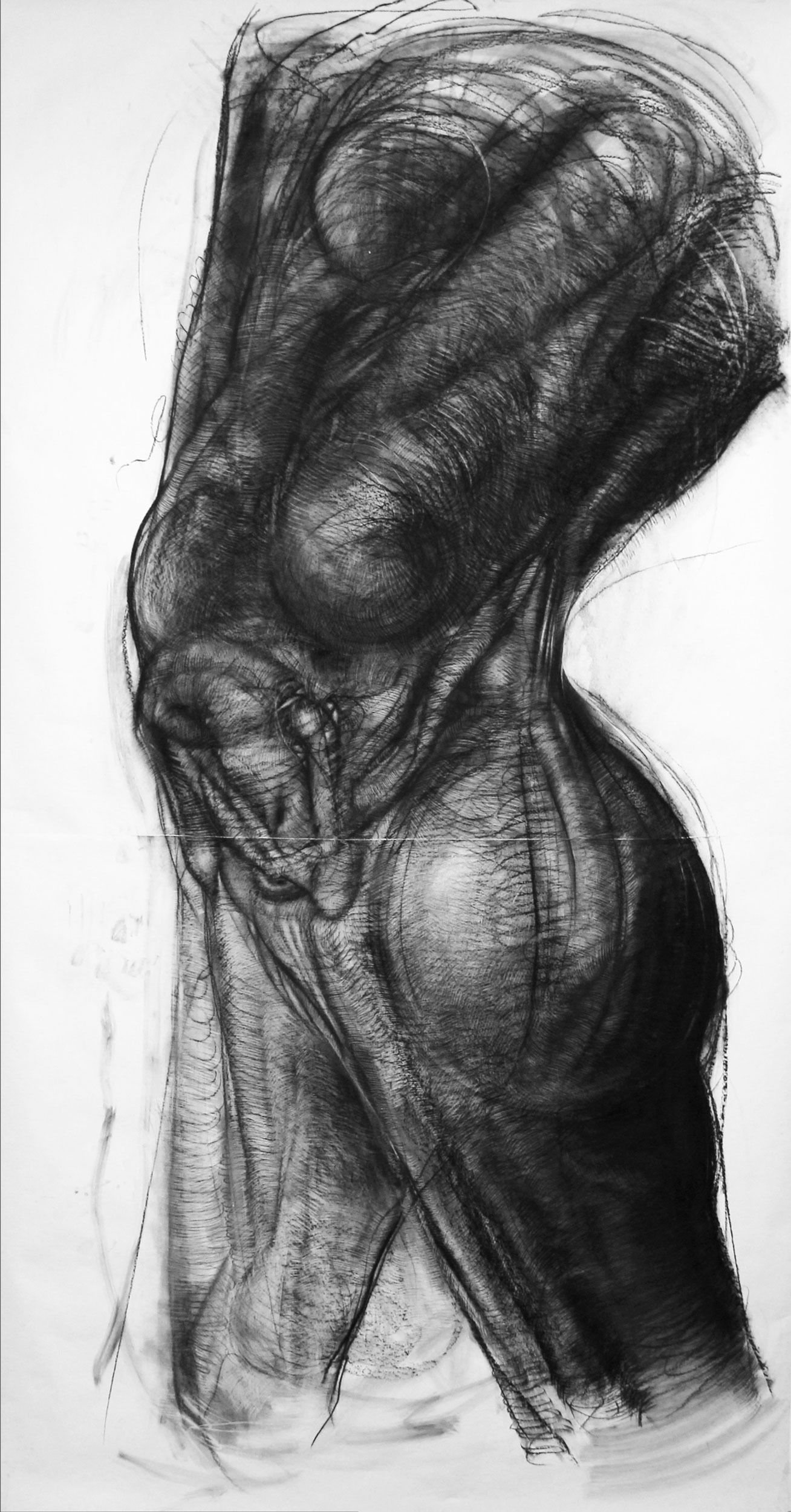 A black and white charcoal drawing of a leg with visible fine lines and anatomic volume.
