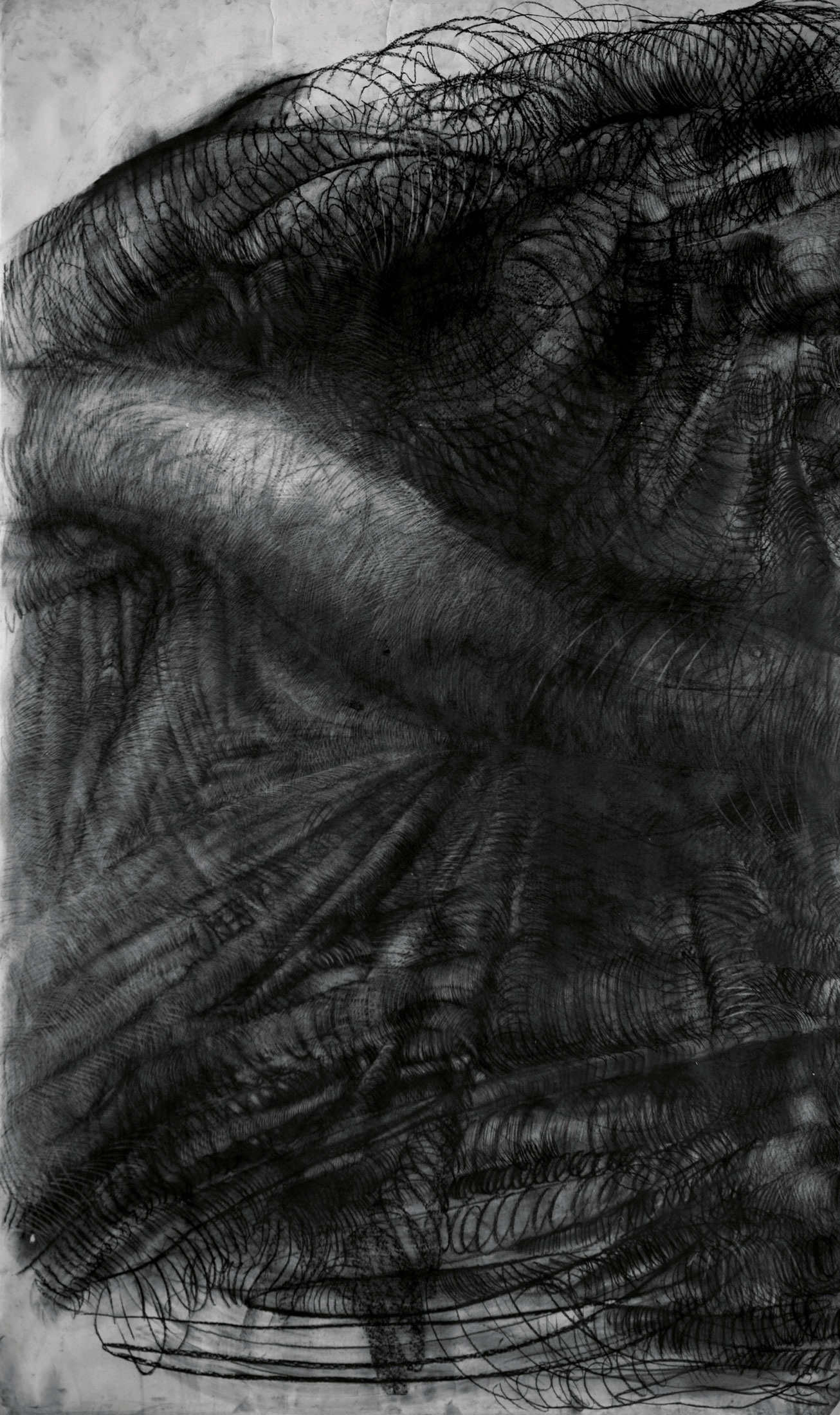 A black and white charcoal drawing of a root-like object with visible fine lines and volume.