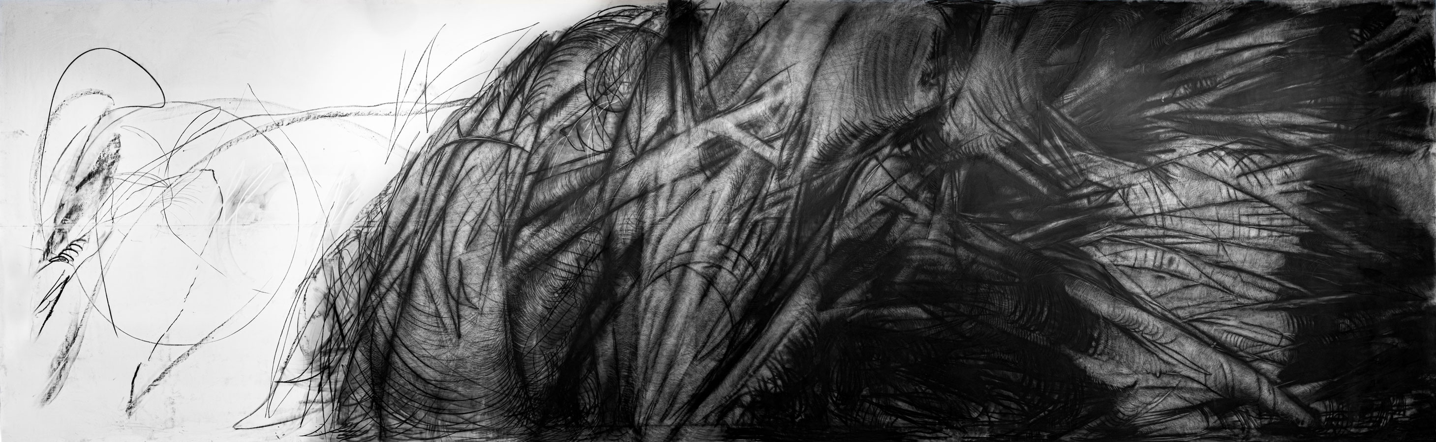 A black and white charcoal drawing of a root-like object with visible fine lines and a white empty space on the left side.